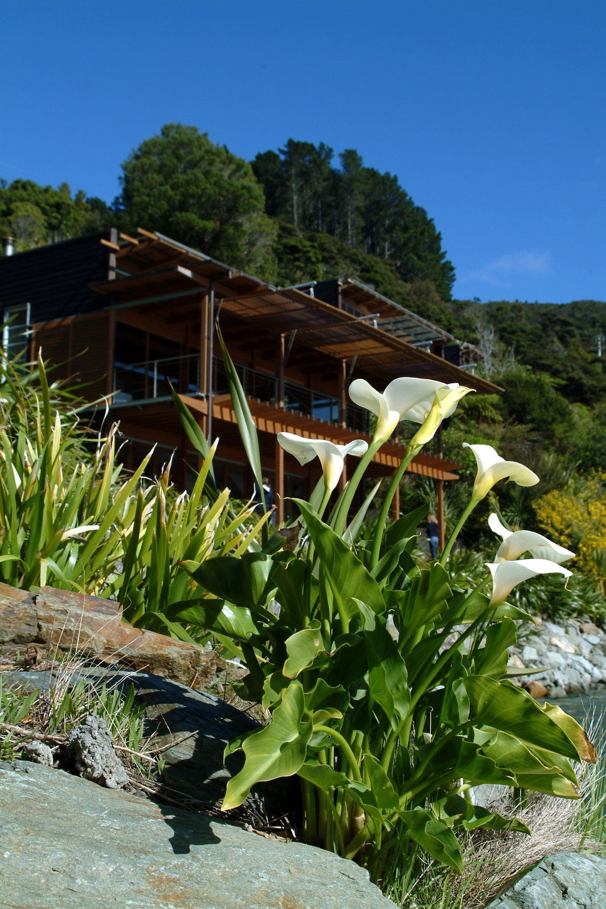 Bay Of Many Coves Hotel Arthur's Bay Eksteriør billede